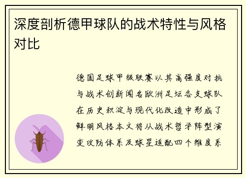 深度剖析德甲球队的战术特性与风格对比